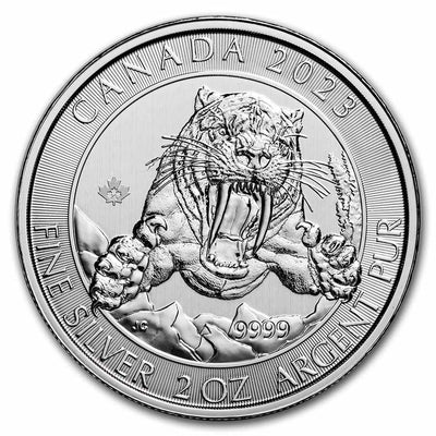 2 oz / 5 oz Silver Coins