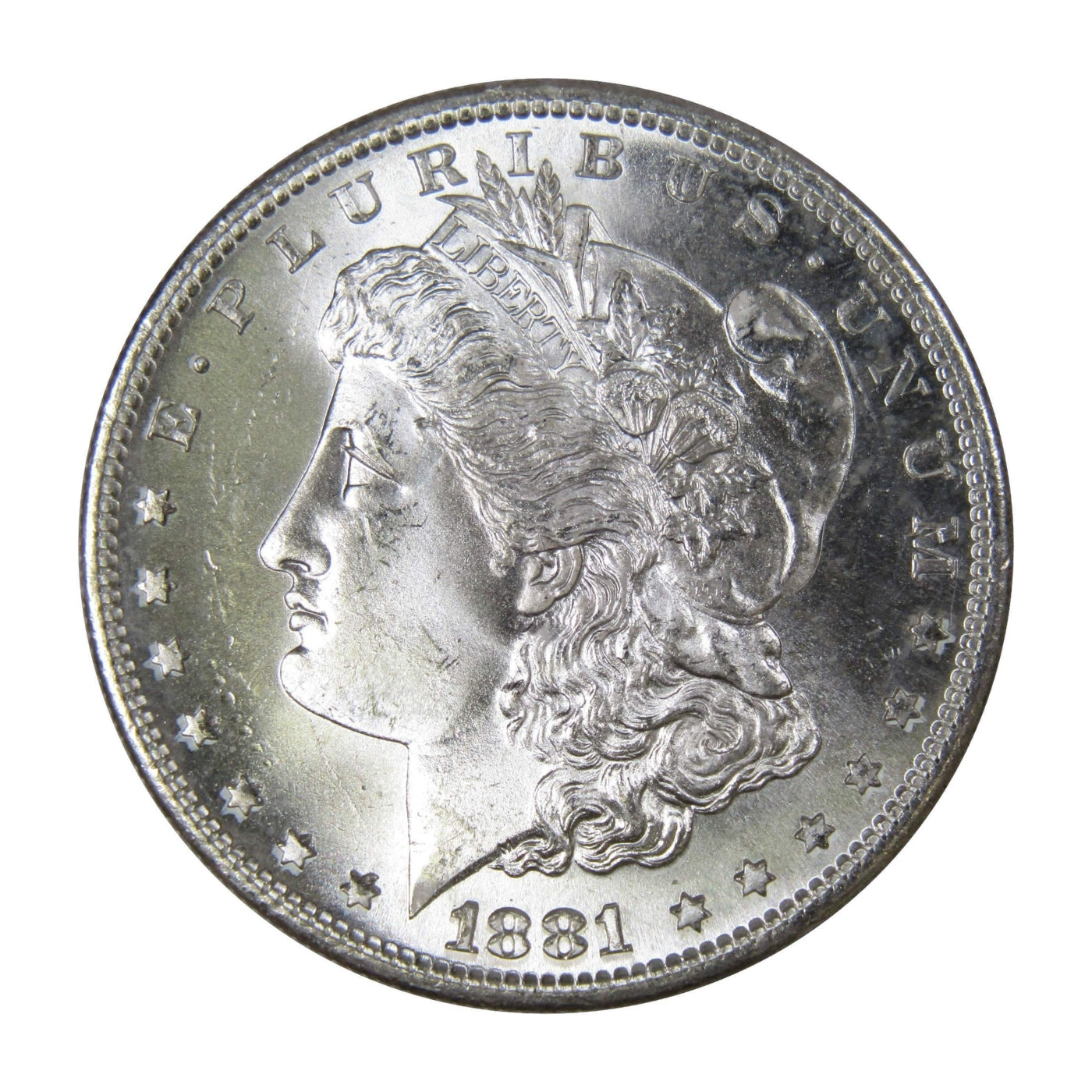 Morgan Silver Dollars