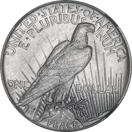 1921 Peace Dollar reverse with eagle perched on rock and peace inscription