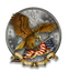 American Silver and Gold Coins Inc